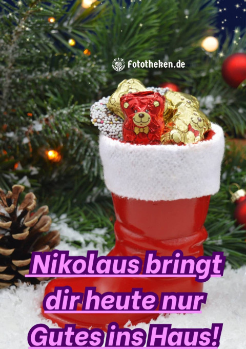 Nikolaus bringt dir heute nur Gutes ins Haus!