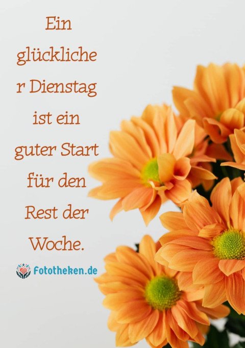 Ein glücklicher Dienstag ist ein guter Start für den Rest der Woche