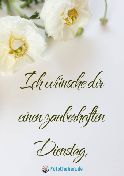 Ich wünsche dir einen zauberhaften Dienstag