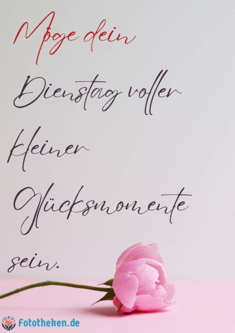 Möge dein Dienstag voller kleiner Glücksmomente sein