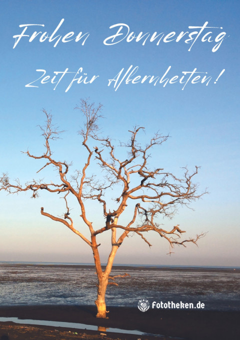 Frohen Donnerstag, Zeit für Albernheiten!