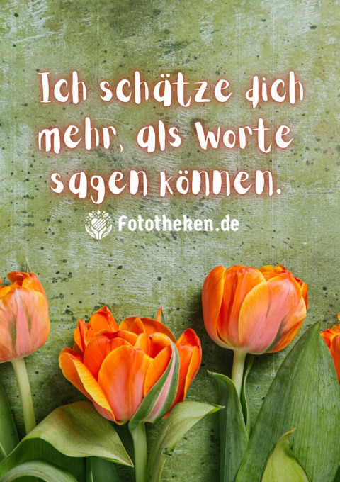 Ich schätze dich mehr, als Worte sagen können