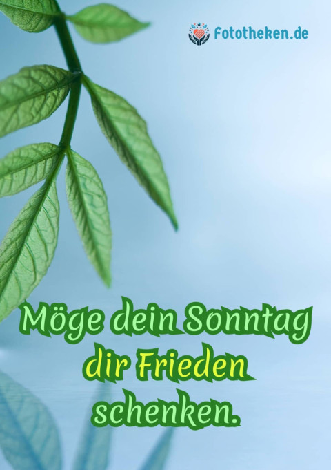 Möge dein Sonntag dir Frieden schenken