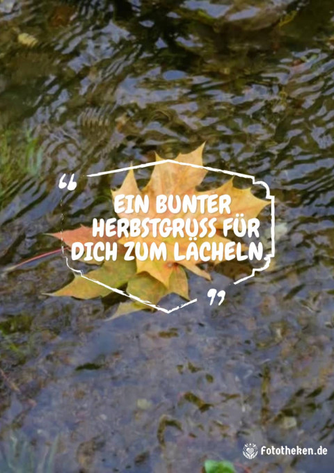 Ein bunter Herbstgruß für dich zum Lächeln
