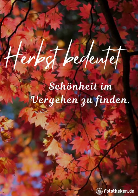Herbst bedeutet, Schönheit im Vergehen zu finden