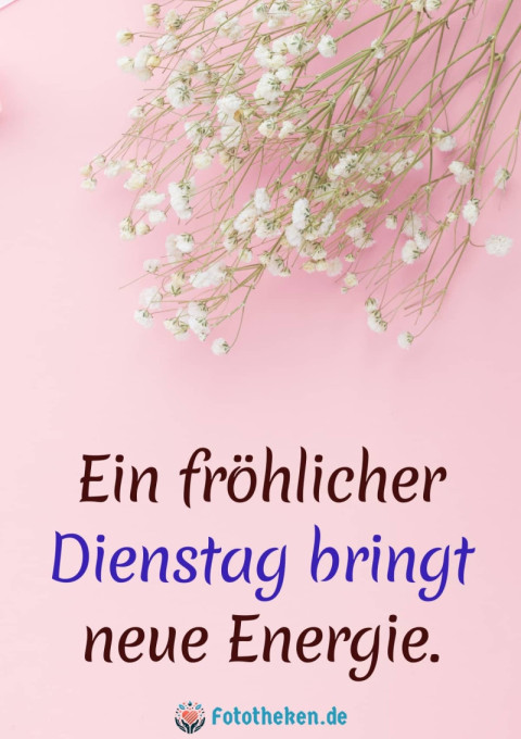 Ein fröhlicher Dienstag bringt neue Energie