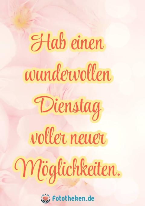 Hab einen wundervollen Dienstag voller neuer Möglichkeiten