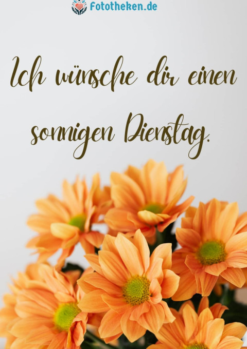 Ich wünsche dir einen sonnigen Dienstag