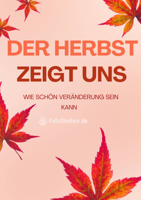 Der Herbst zeigt uns, wie schön Veränderung sein kann