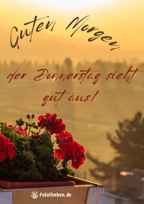 Guten Morgen, der Donnerstag sieht gut aus!