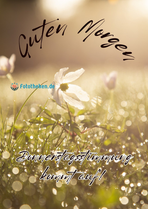 Guten Morgen, Donnerstagsstimmung kommt auf!