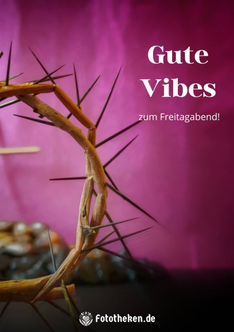Gute Vibes zum Freitagabend!