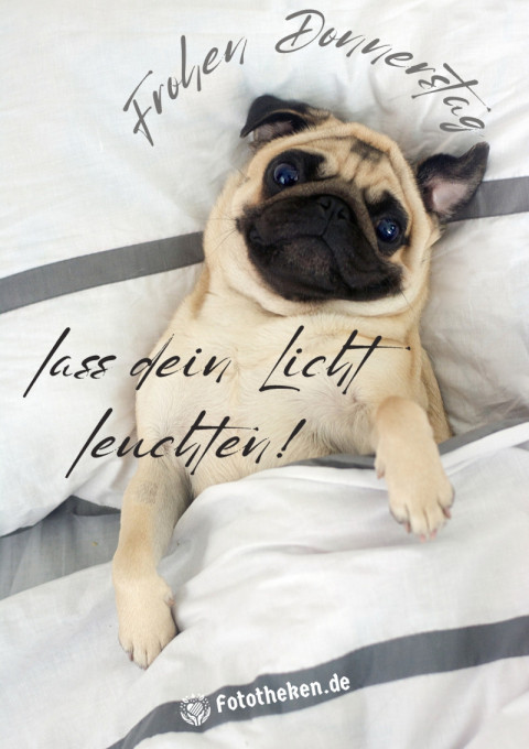 Frohen Donnerstag, lass dein Licht leuchten!