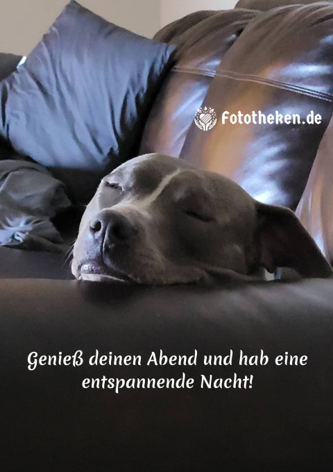 Genieß deinen Abend und hab eine entspannende Nacht!