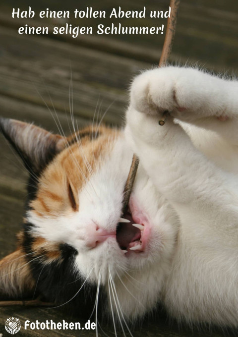 Hab einen tollen Abend und einen seligen Schlummer!