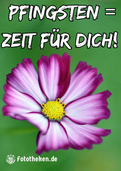 Pfingsten = Zeit für dich!