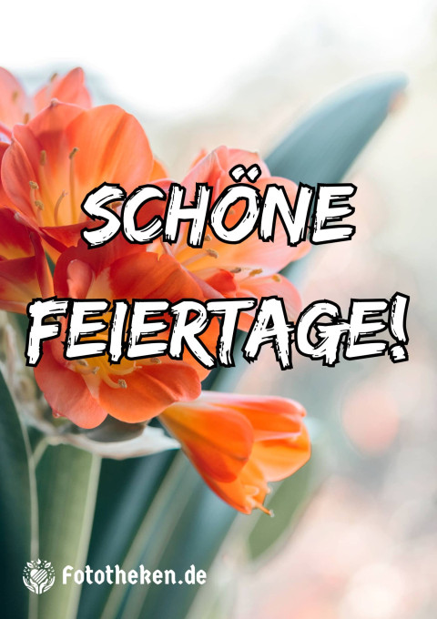 Schöne Feiertage!