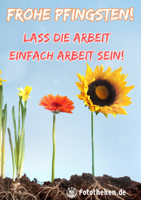 Frohe Pfingsten! Lass die Arbeit einfach Arbeit sein!