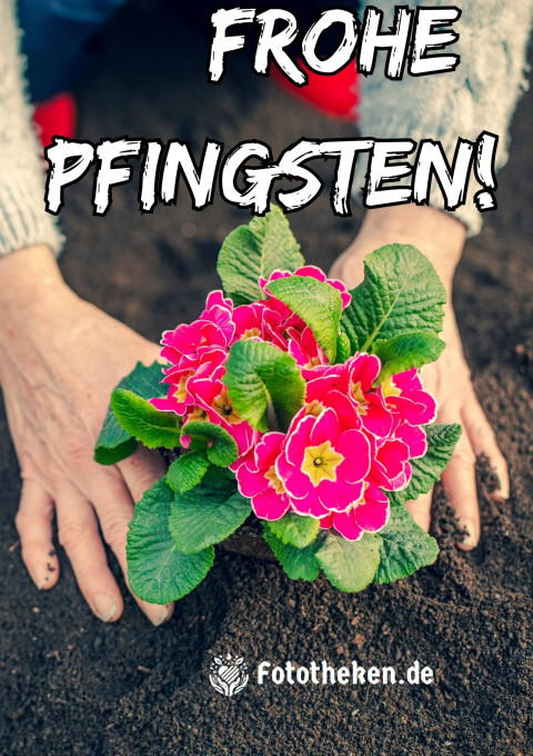 Frohe Pfingsten! ?
