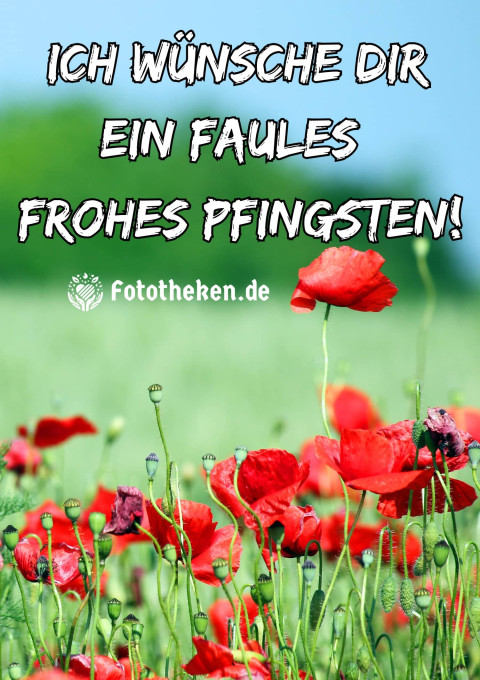 Ich wünsche dir ein faules, frohes Pfingsten!