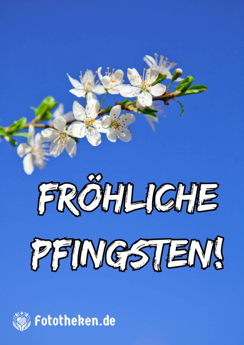 Fröhliche Pfingsten!