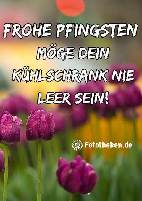 Frohe Pfingsten – möge dein Kühlschrank nie leer sein!