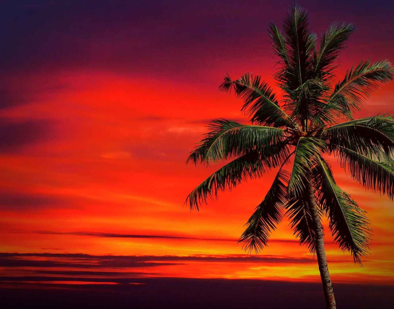 [50+] Schöne Abendgrüße für Freunde zum Teilen auf WhatsApp category thumbnail