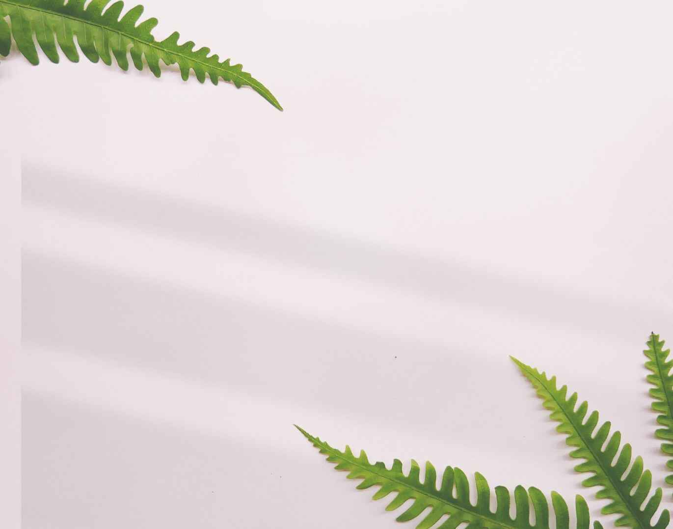 [70+] Neue Grüße zum Dienstag category thumbnail