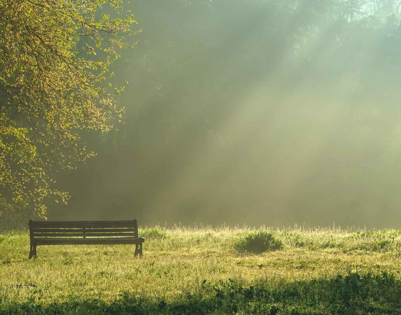 [90+] Guten Morgen Freitag Bilder Kostenlos für WhatsApp category thumbnail