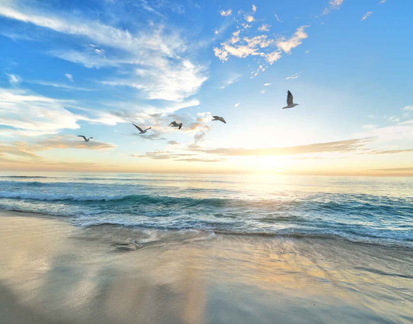 [90+] Guten Morgen Mittwoch Bilder für WhatsApp category thumbnail