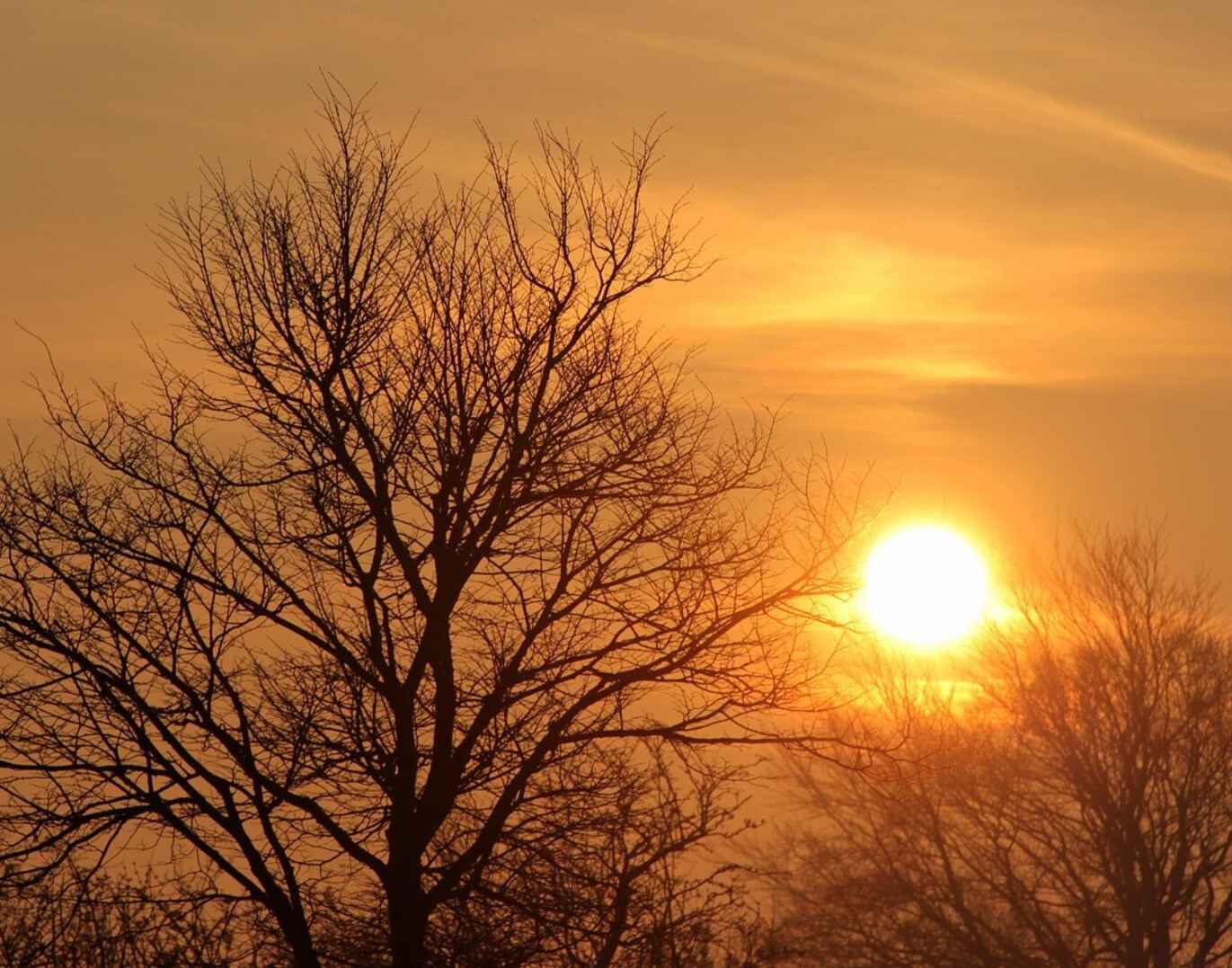 Guten Morgen Sonntag Bilder kostenlos für WhatsApp category thumbnail