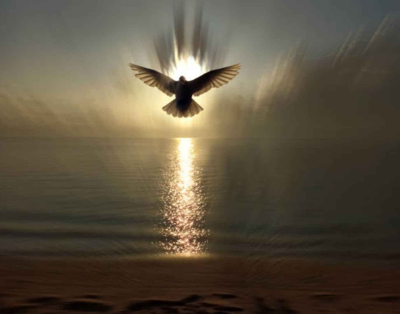 [50+] Schöne Pfingstgrüße Bilder kostenlos für WhatsApp category thumbnail