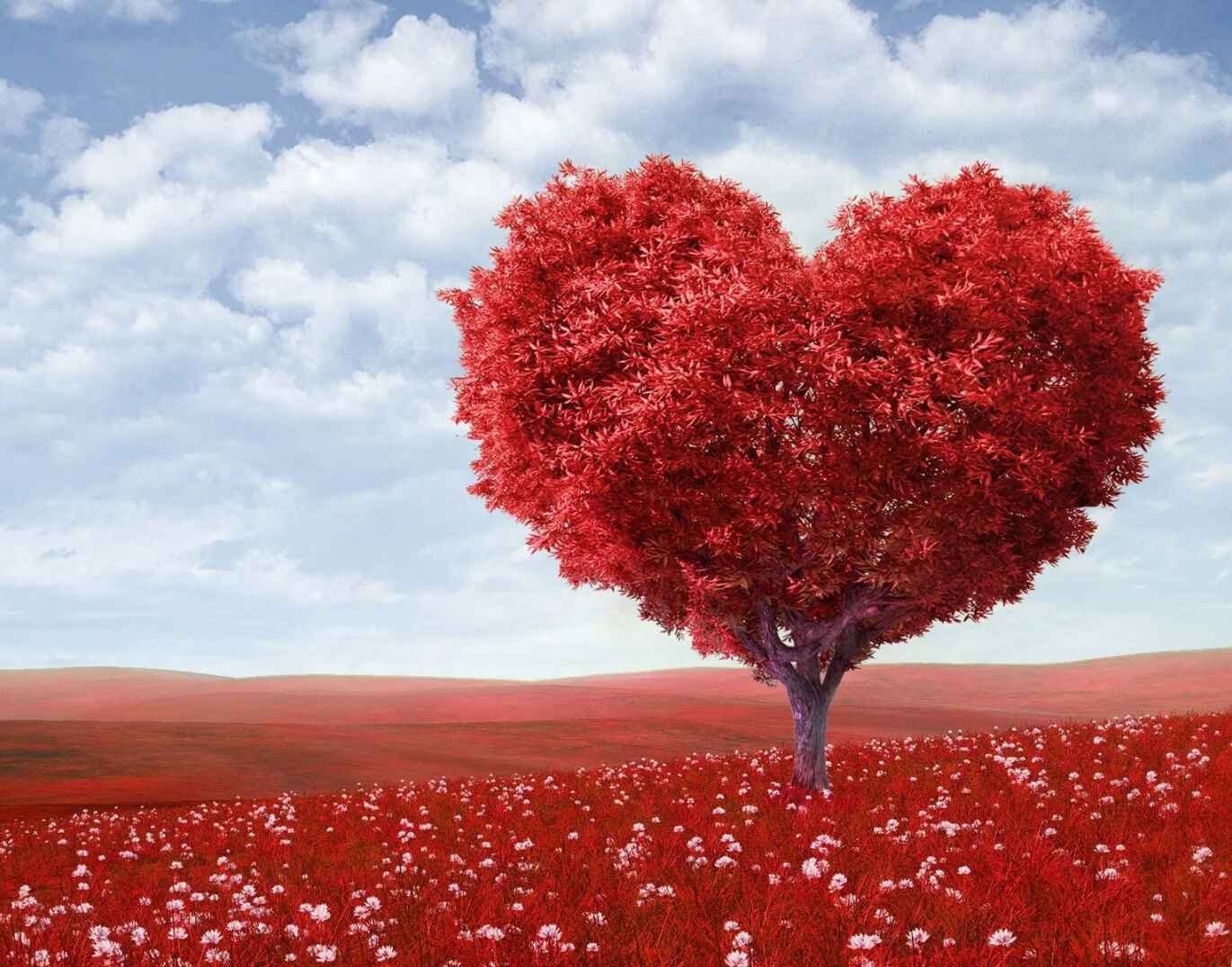 [50+] Sarkastische Valentinstag Sprüche Liebevoll fies & herrlich witzig category thumbnail