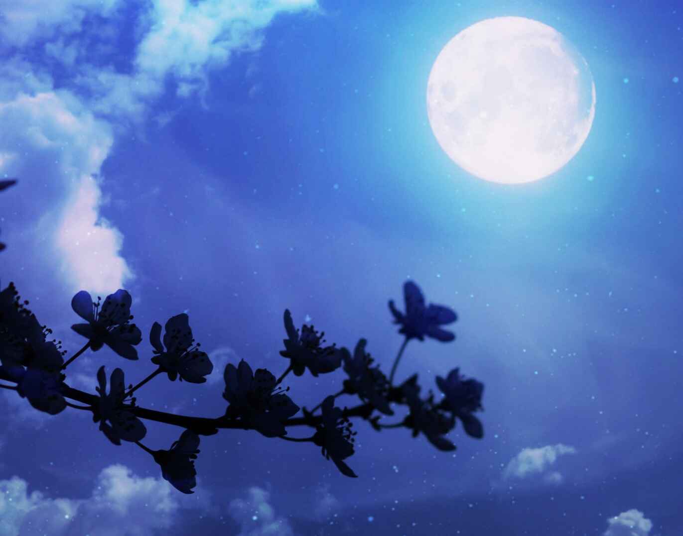 [100+] Liebevolle Gute Nacht Bilder für WhatsApp zum Teilen category thumbnail