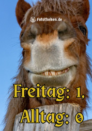 User Image 3