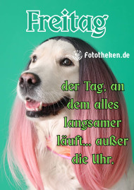 User Image 2